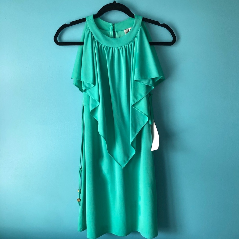 NWT Petite Milly Dress